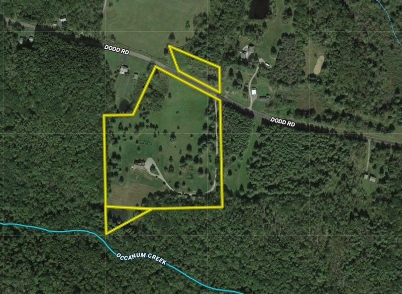 Broome 18.25 Scherer Google