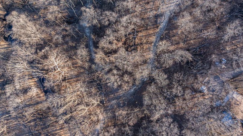 DJI_20260120153555_0006_D