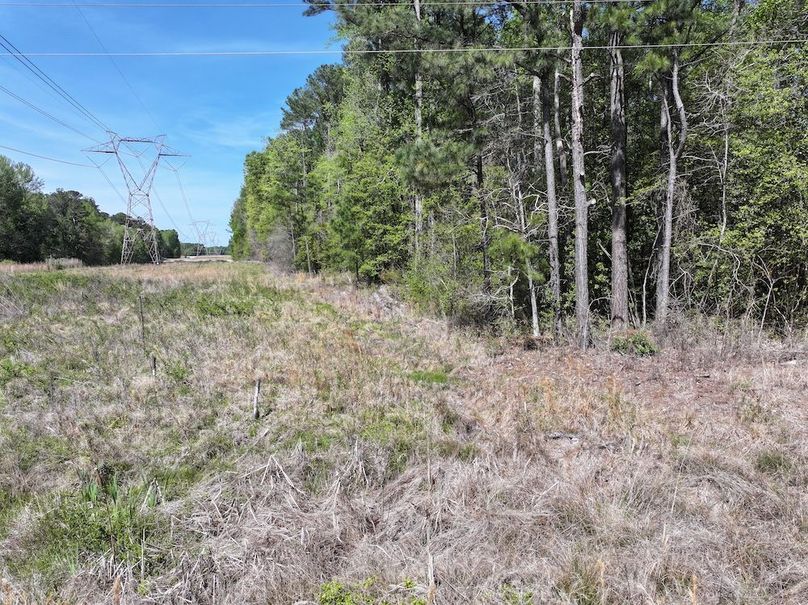 dji_fly_20260320_115032_0614_1776087140637_photo