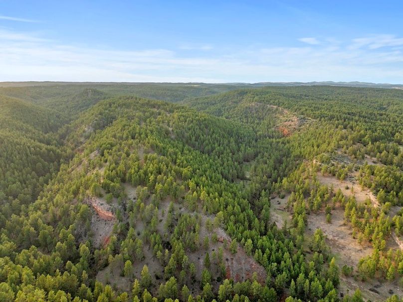 18-DJI_20250507185021_0766_D