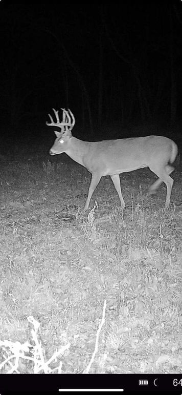 Screenshot 2023-11-10 at 5.48.19 PM Large