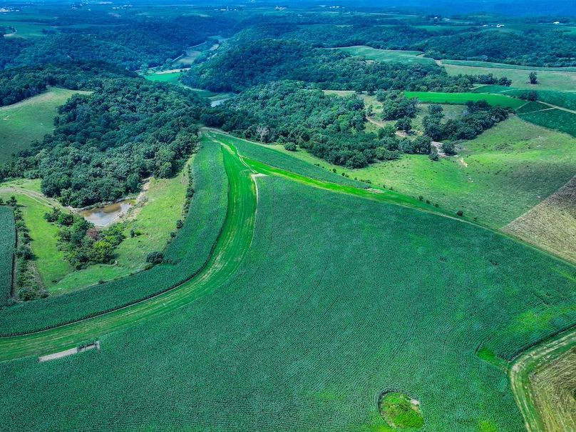 New Albin 8_8 edits-27