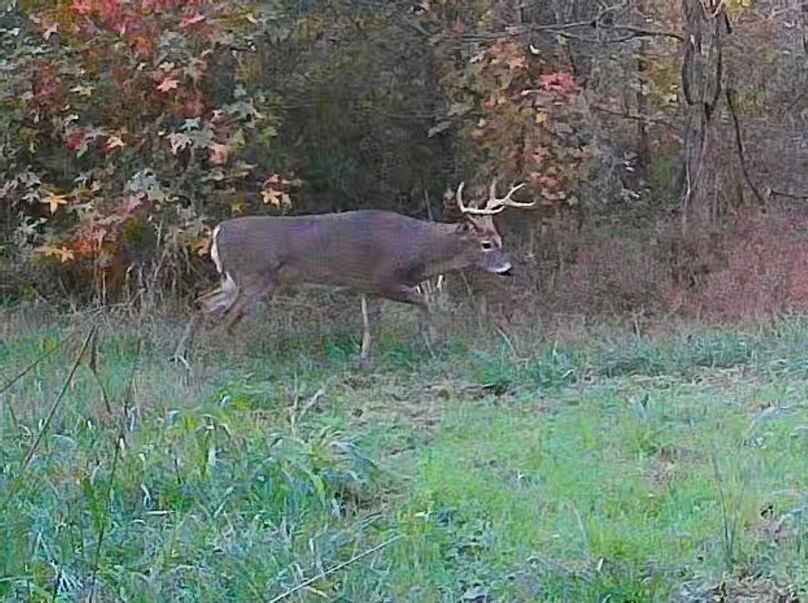 99BD37D7-5843-4049-B453-7C44C8B9CEBF_1_201_a