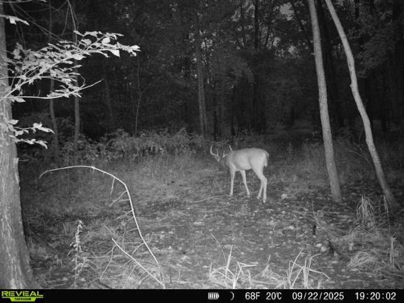 860516068101389-50-3-09222025192002-V-W1001609