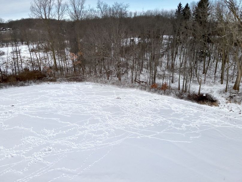 1.Copy of Tract 2 pine strip west side Large