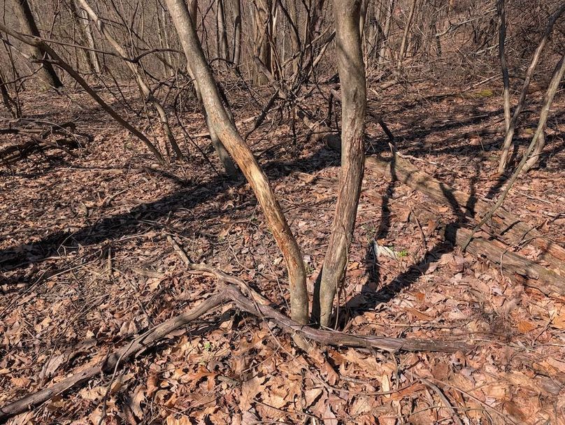 PXL_20260326_162434081