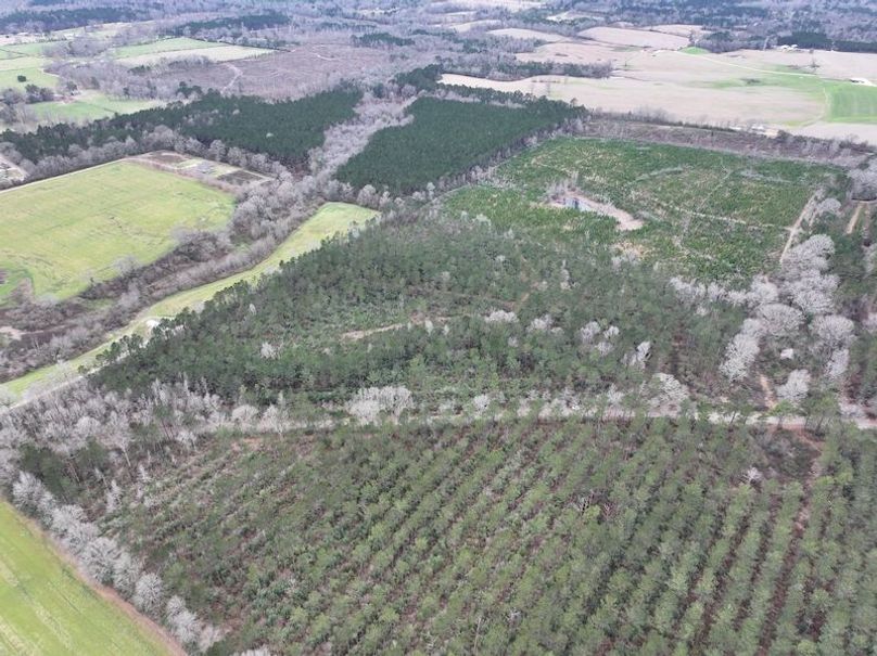 dji_fly_20260217_132014_0098_1771436915033_photo