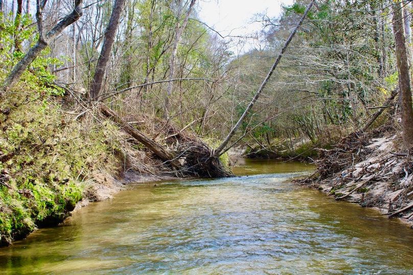 50FF3431-37EC-4F95-B276-BD6ED795088C_1_201_a