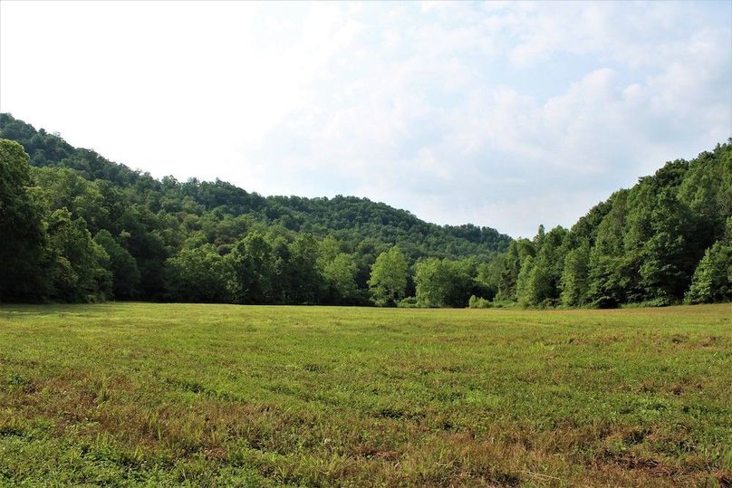 039 just a beautiful field area in the northeastern area of the property