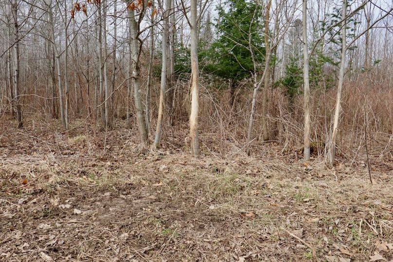 Copy of Copy of IMG_0566