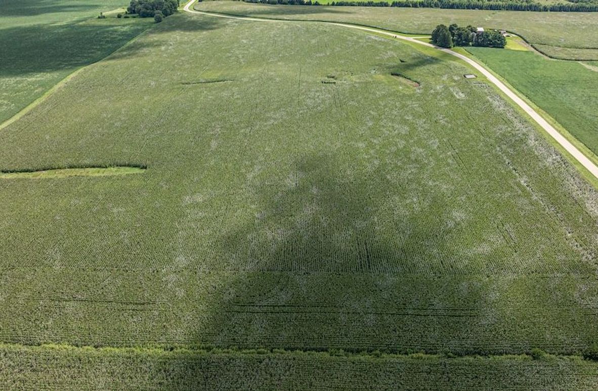 DeKalb Farm for marketing full res-68