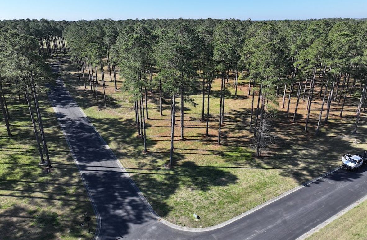 DJI_20260228055339_0493_D