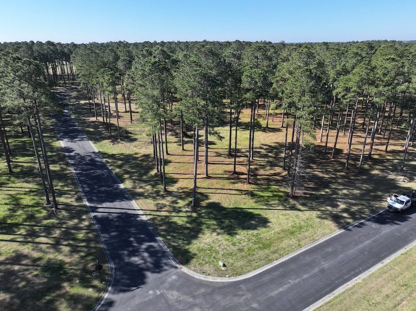 DJI_20260228055339_0493_D