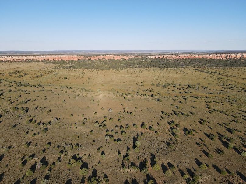 dji_fly_20240816_074828_508_1723816127146_photo