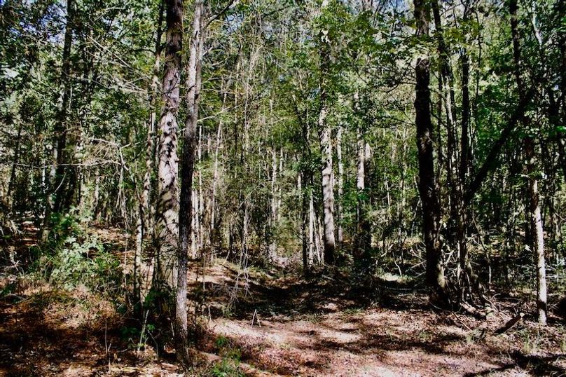 4D2813EB-5DF4-4CF7-AC10-4BF633AF6BD1_1_105_c