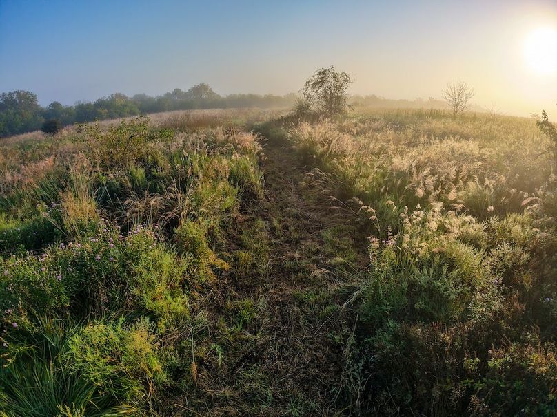 DJI_20250906074706_0064_D