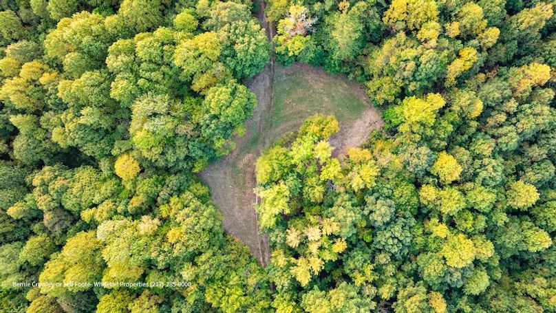 Tallahatchie 847 Messina-79