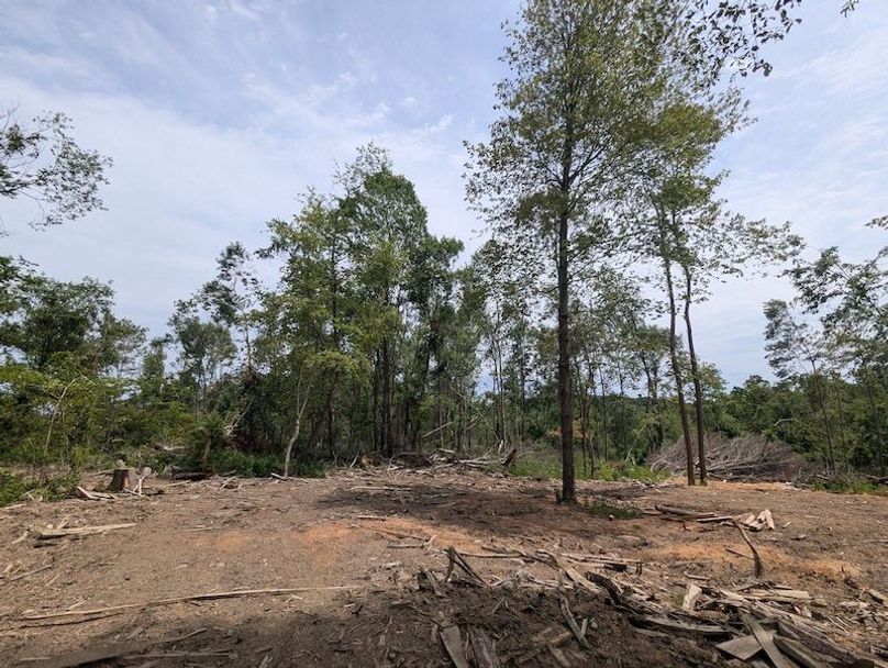 PXL_20240625_181739085