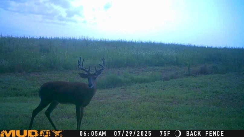 25072906054901005101