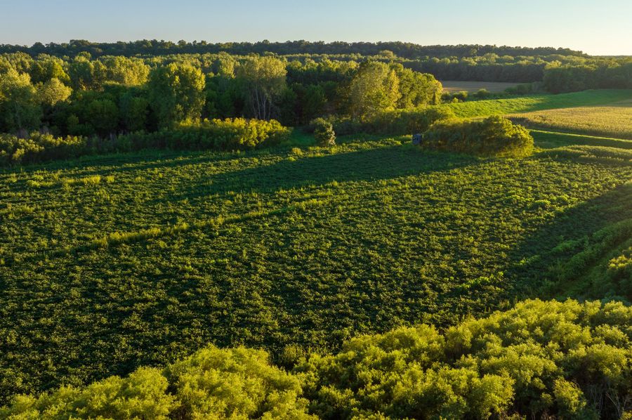 DJI_0040-HDR