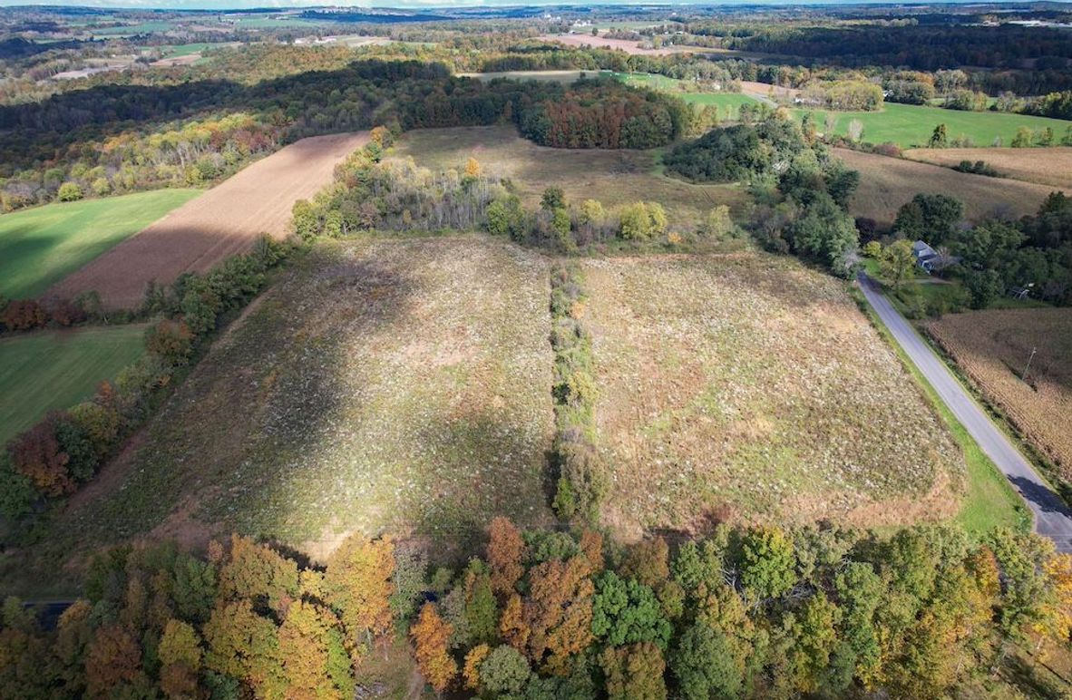 Tompkins_30.32_Hildreth_Estate_Phoros_1