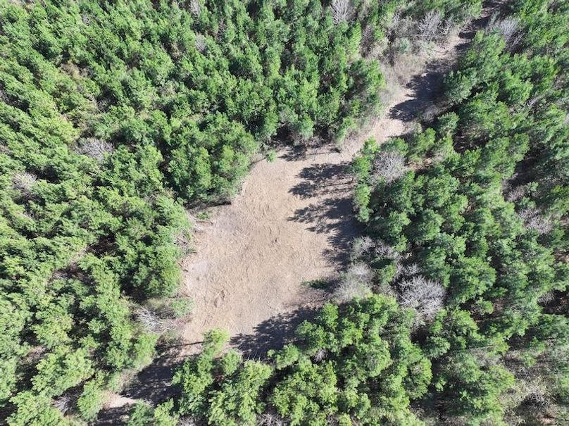 dji_fly_20260302_130252_0335_1772559702476_photo