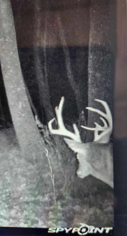 received_959759912180464