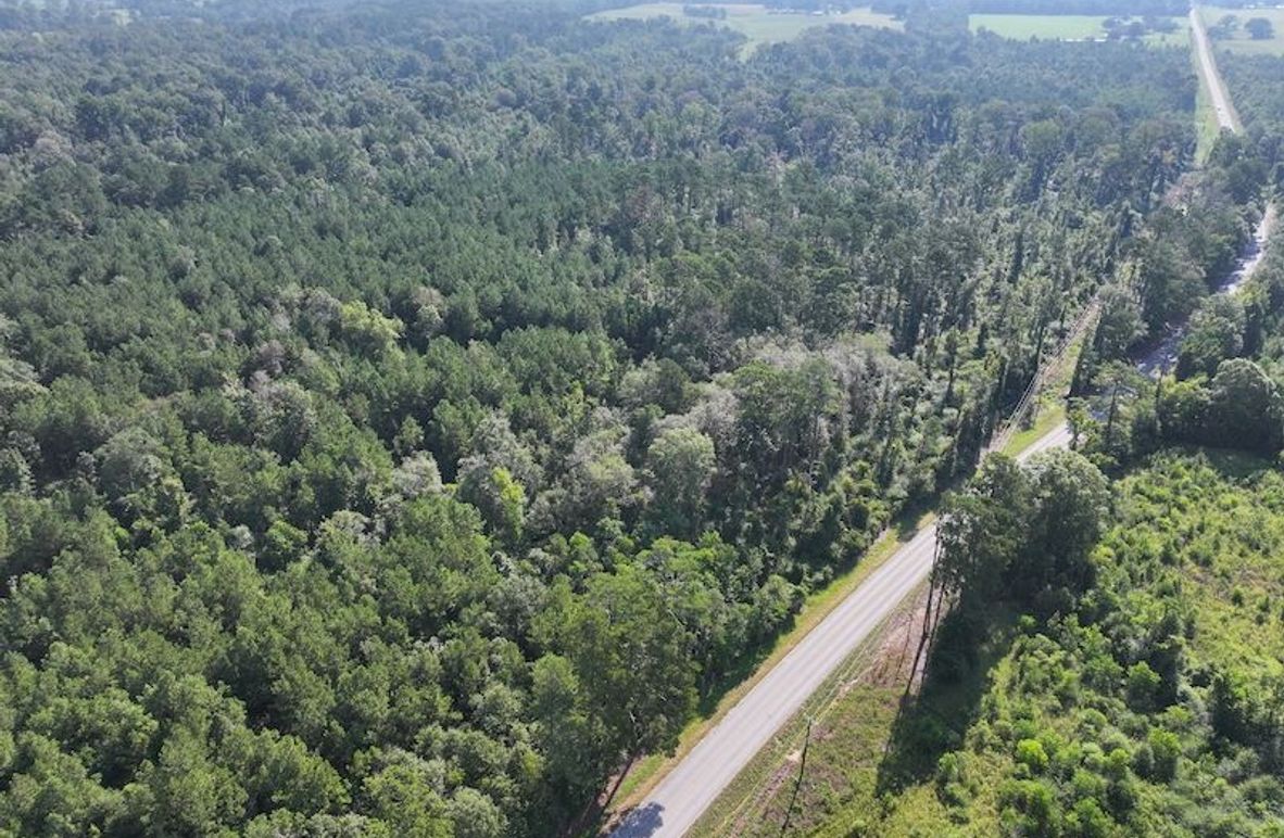 dji_fly_20250818_094748_0355_1755614661506_photo