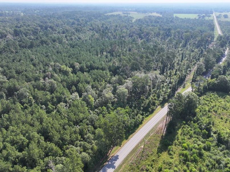 dji_fly_20250818_094748_0355_1755614661506_photo