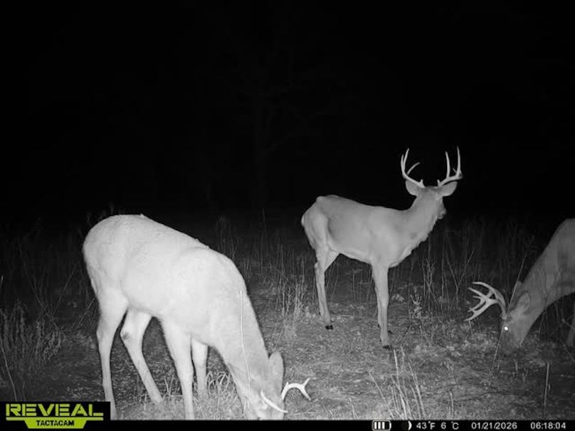 860322064077966-40-3-01212026061823-V-W1013155