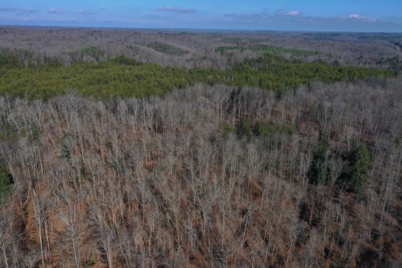 006 aerial drone shot from the middle of the property looking north