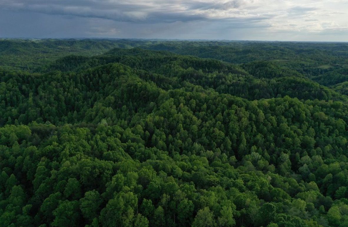 006 aerial drone shot from the middle of the property looking east