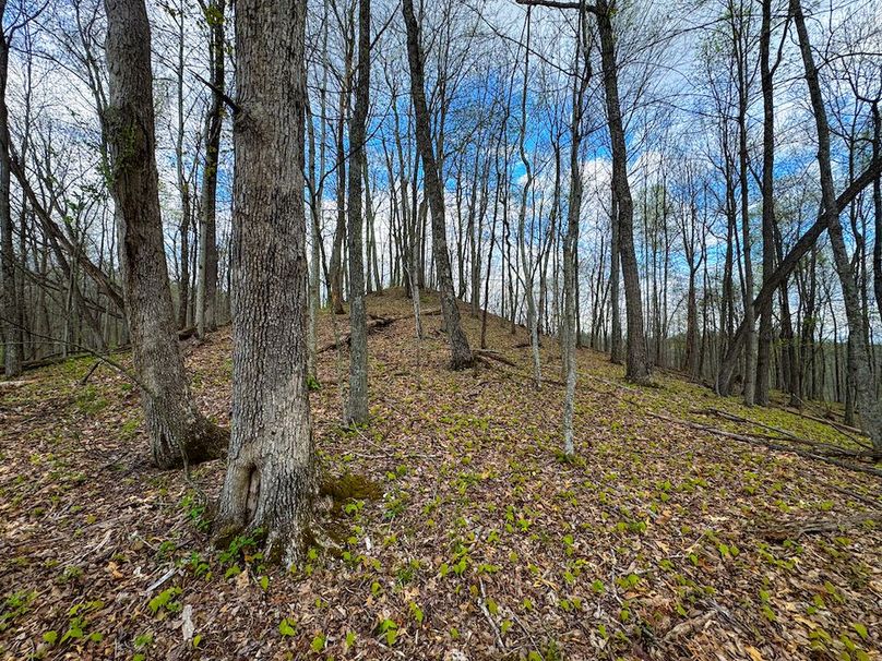 Calhoun, WV 132.84 AC Szegi 2-109