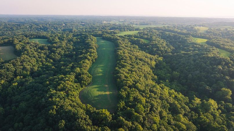 DJI_0031-HDR-2
