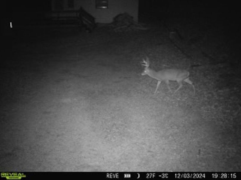 3A3798FA-2792-443A-AE7E-0632069BDF36_4_5005_c