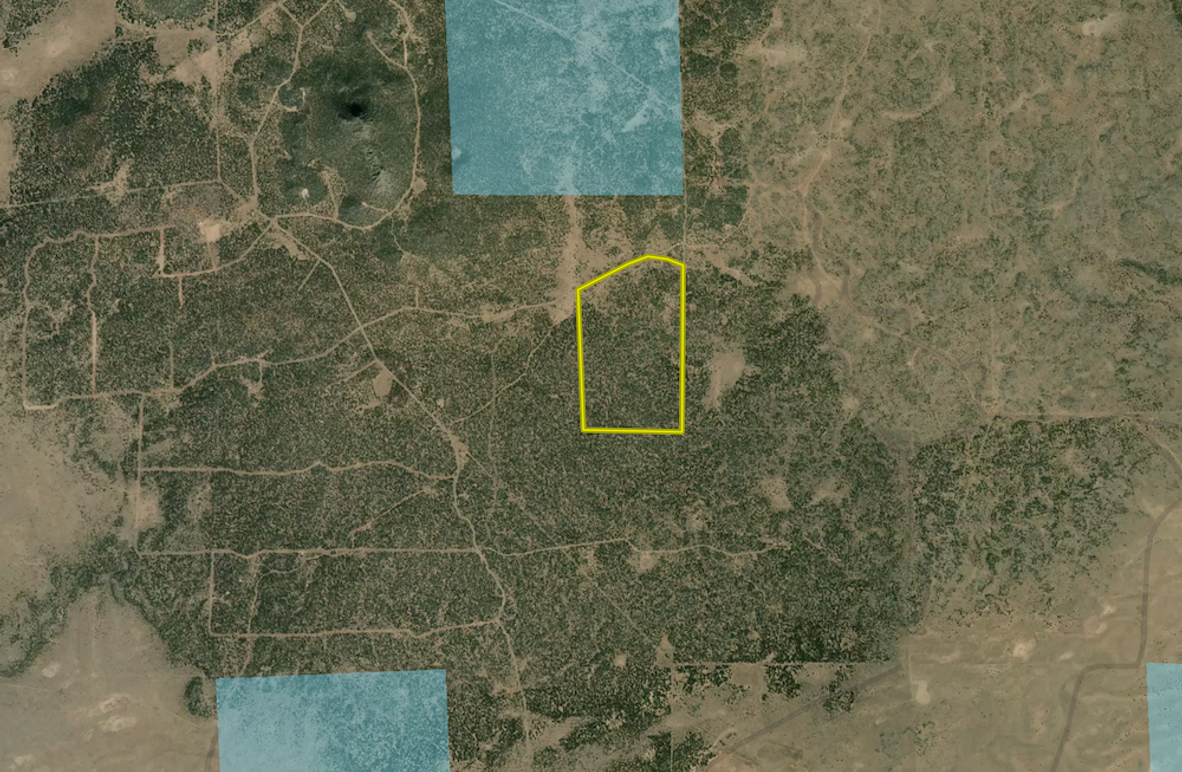 Screenshot 2025-06-08 at 4.53.18 PM