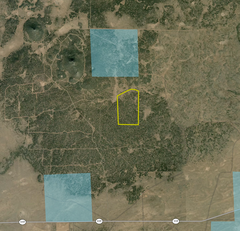 Screenshot 2025-06-08 at 4.53.18 PM