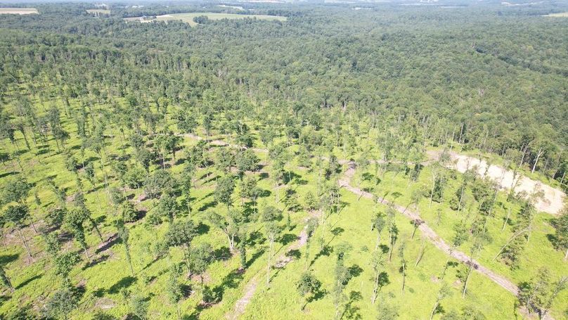 dji_fly_20250624_104512_371_1750776475928_photo