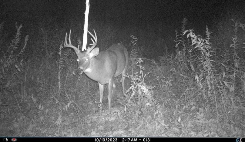 trail cam34