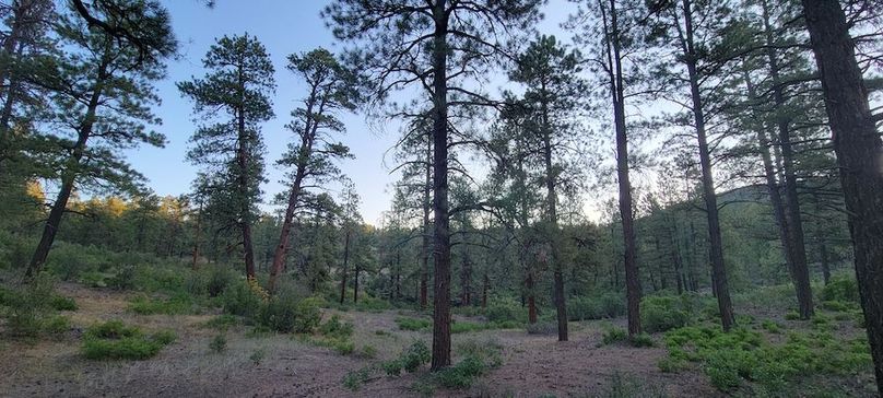 Copy of 20210827_070518