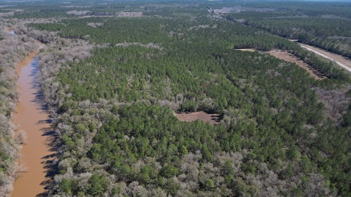 Hunting And Recreational Property In Close Proximity Of The Conecuh
