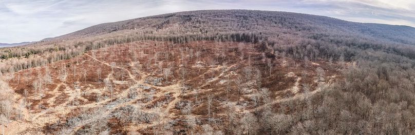 DJI_20260122134509_0055_D