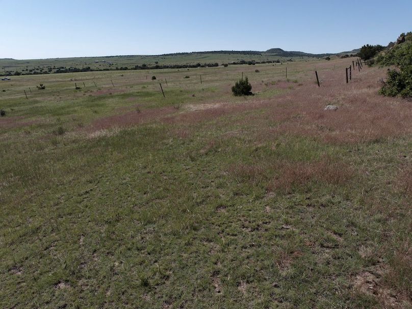 DJI_20250619093503_0021_D