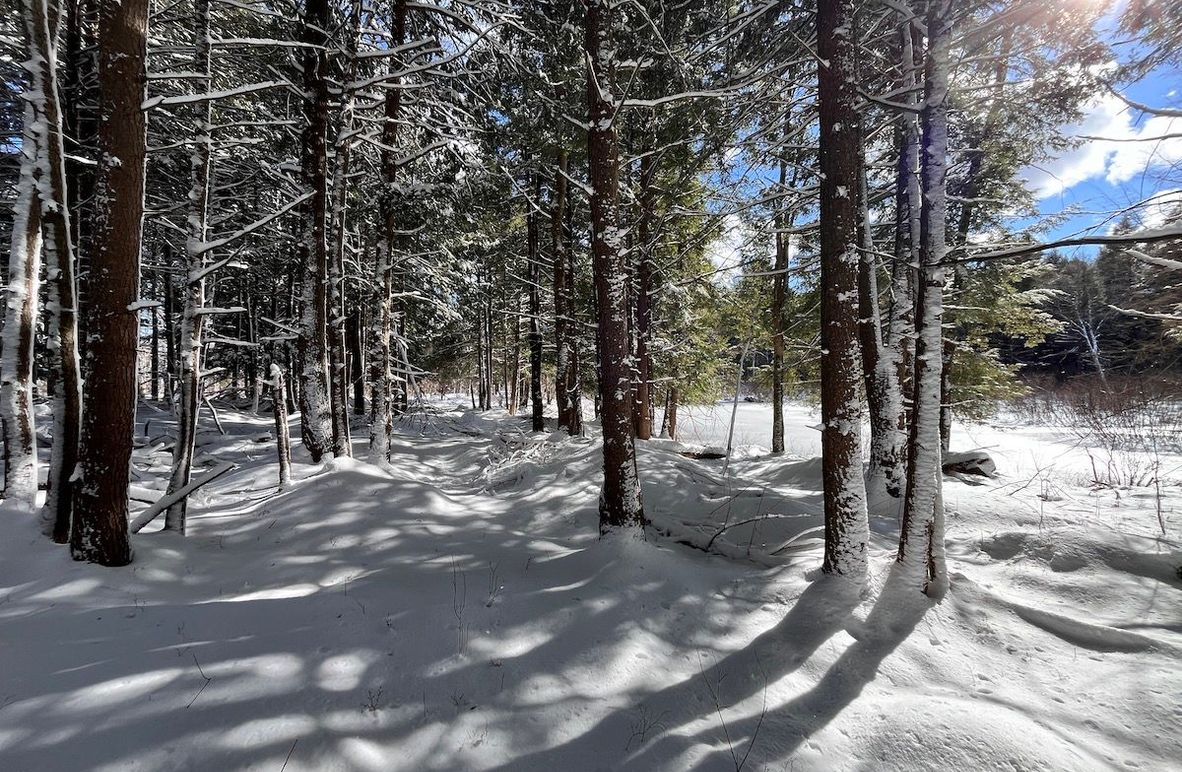 Oswego_11.78_Somberg Photo 3.