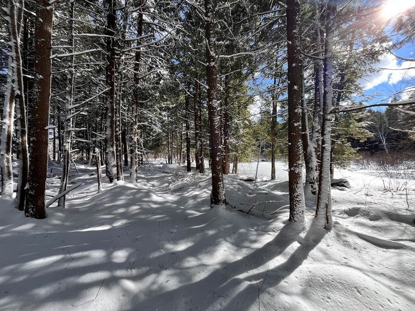 Oswego_11.78_Somberg Photo 3.