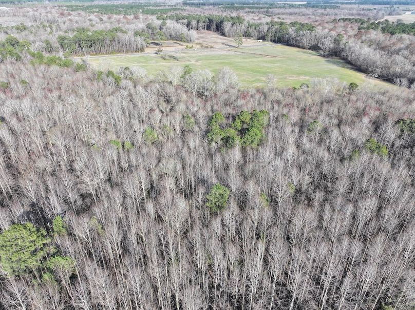 dji_fly_20240226_160300_0064_1709382208843_photo