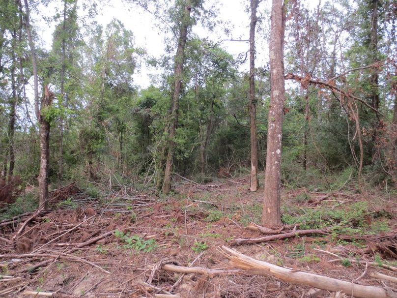 E94B1B5F-26C5-4ADA-8CFA-FF17D41C0BF0_1_105_c