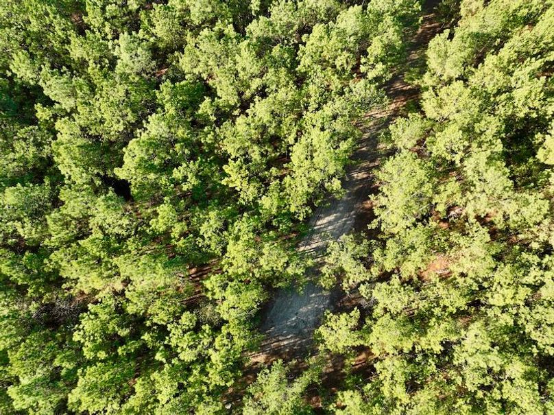 dji_fly_20251222_142042_98_1766431467023_photo