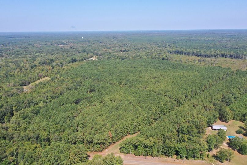 7B1823F8-8B60-4996-AB14-E3B6DF79D53B_1_105_c