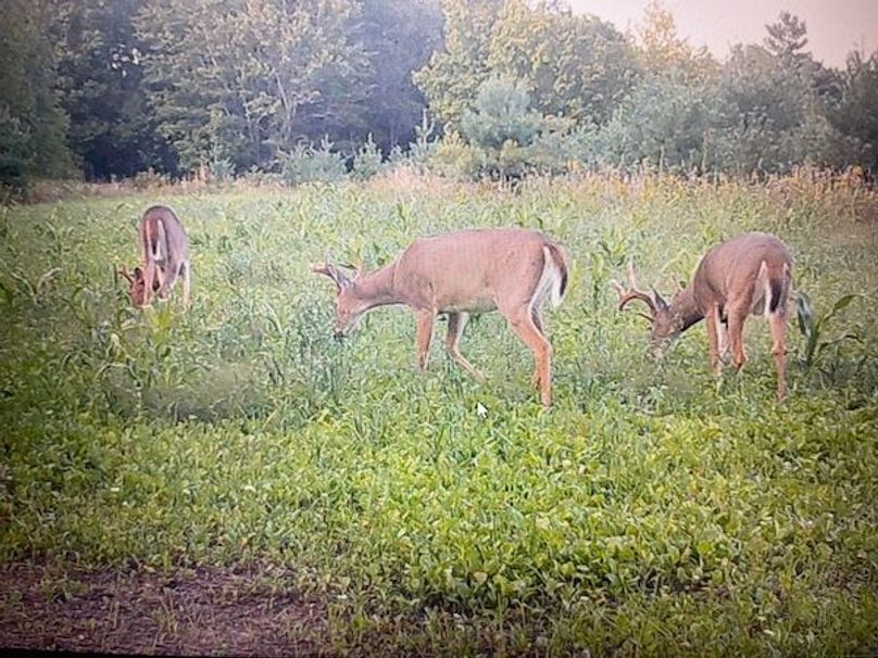 68472155576__B81E5C11-D50A-4F20-AEB1-CEB35EC55048